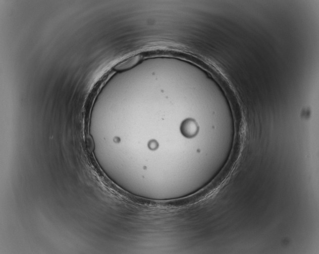 X0000115630877200911241644