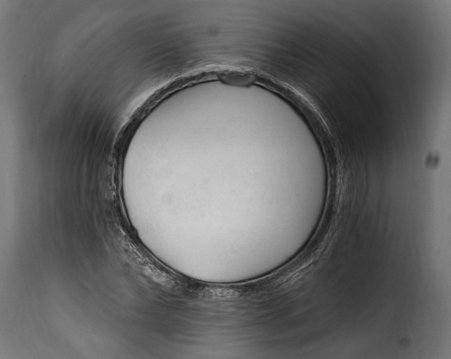 X0000115630878200911241644