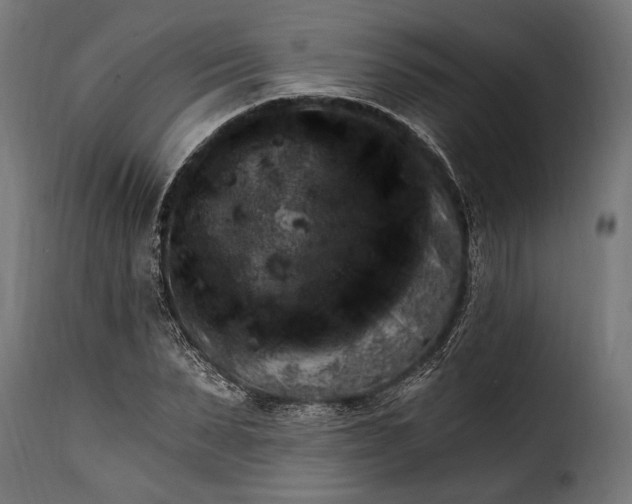 X0000115630879200911241644