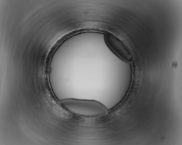 X0000115630880200911241644