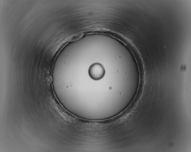 X0000115630881200911241644