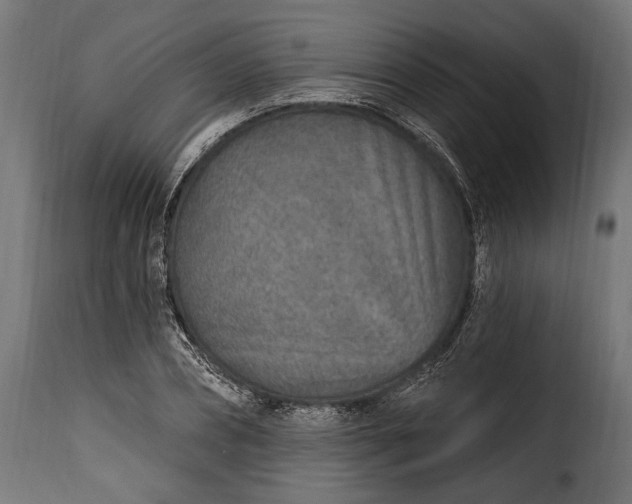 X0000115630882200911241644