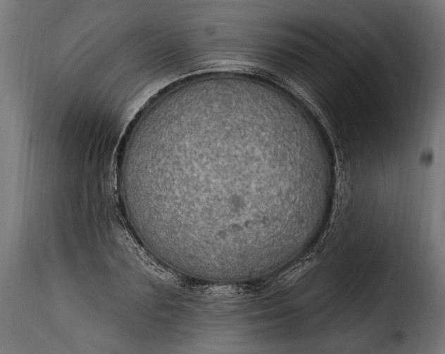 X0000115630883200911241644