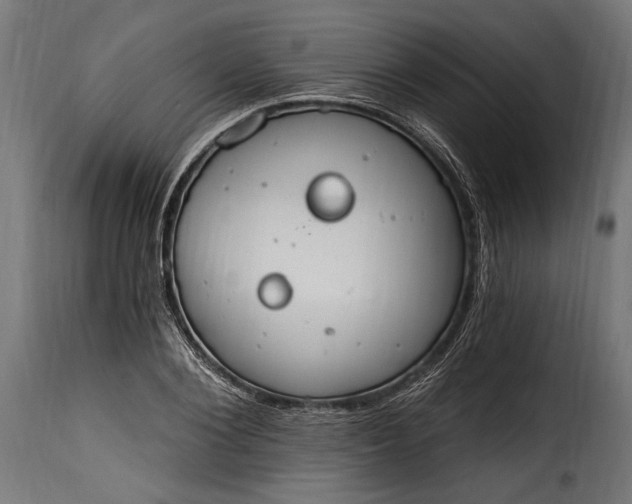 X0000115630884200911241644