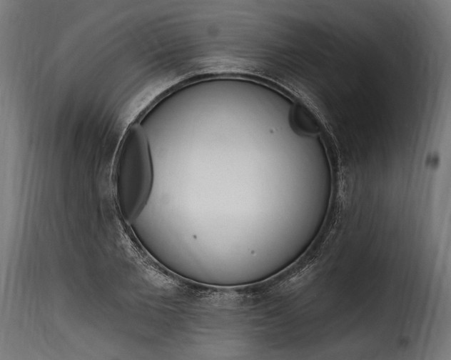 X0000115630885200911241644