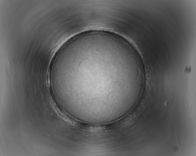 X0000115630887200911241644