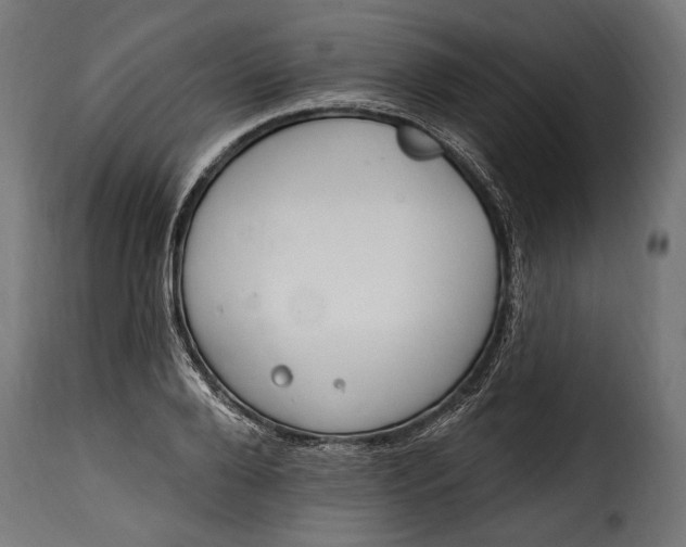 X0000115630888200911241644