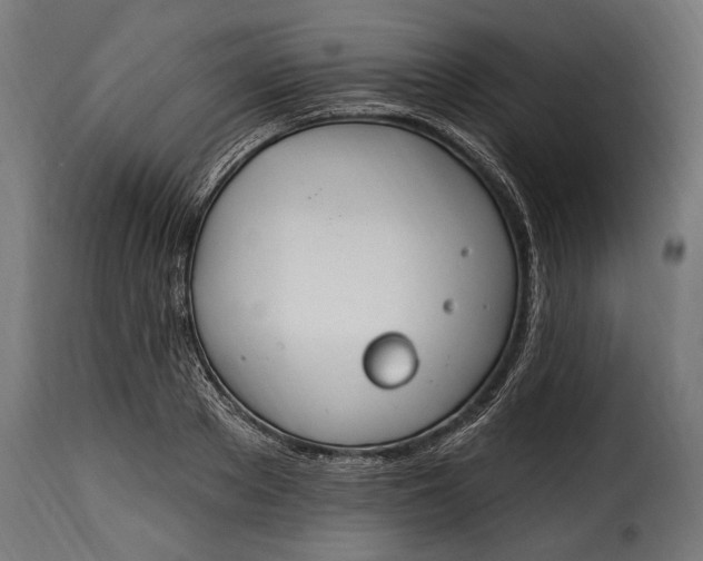 X0000115630889200911241644