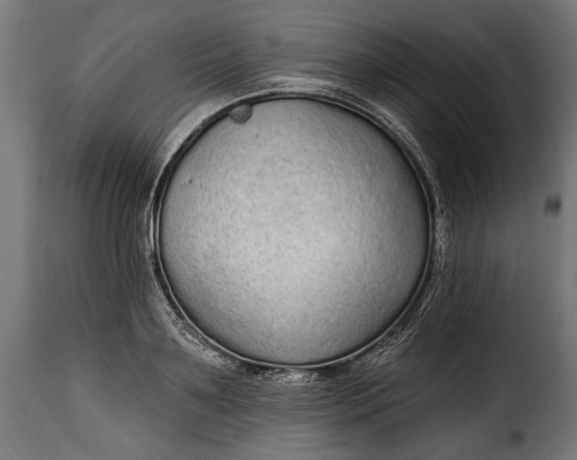 X0000115630891200911241644