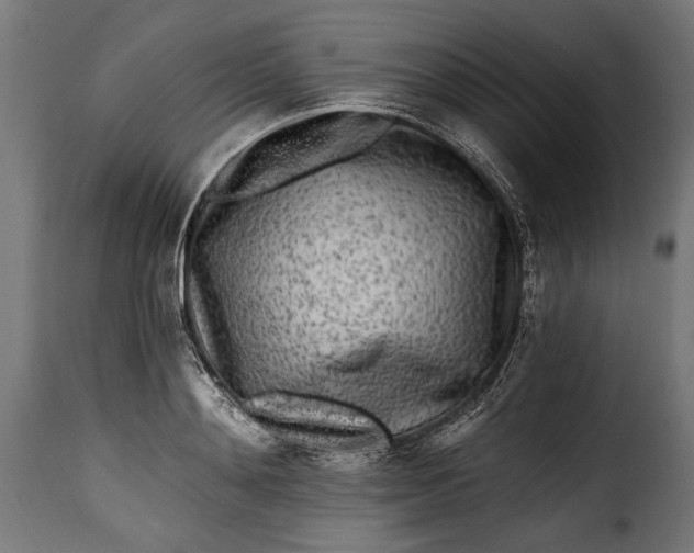 X0000115630892200911241644