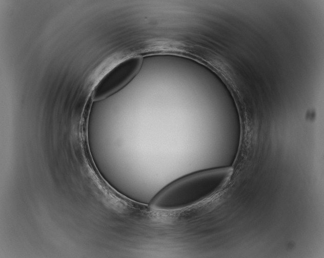 X0000115630893200911241644