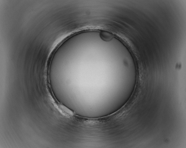 X0000115630894200911241644