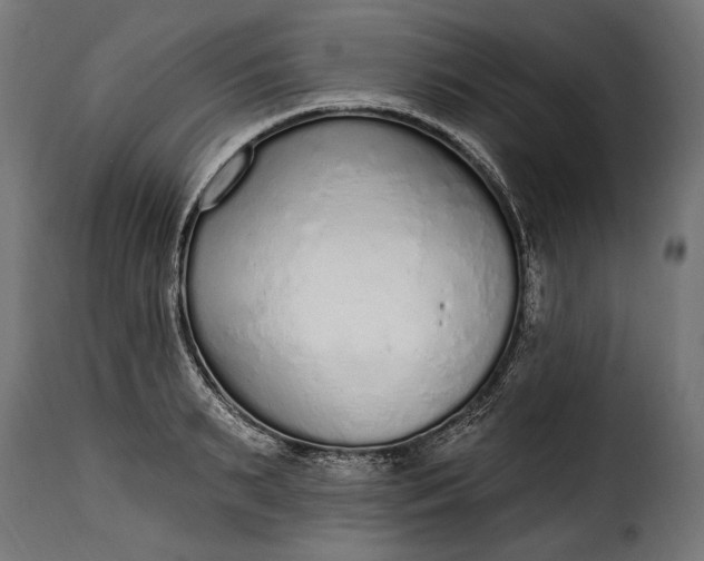 X0000115630895200911241644