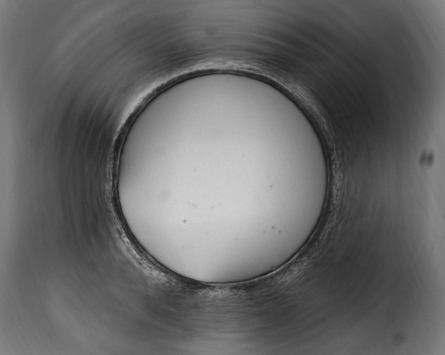 X0000115630896200911241644