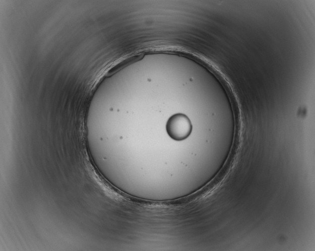 X0000115630897200911241644