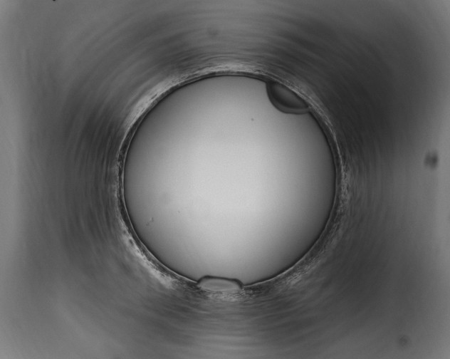 X0000115630898200911241644