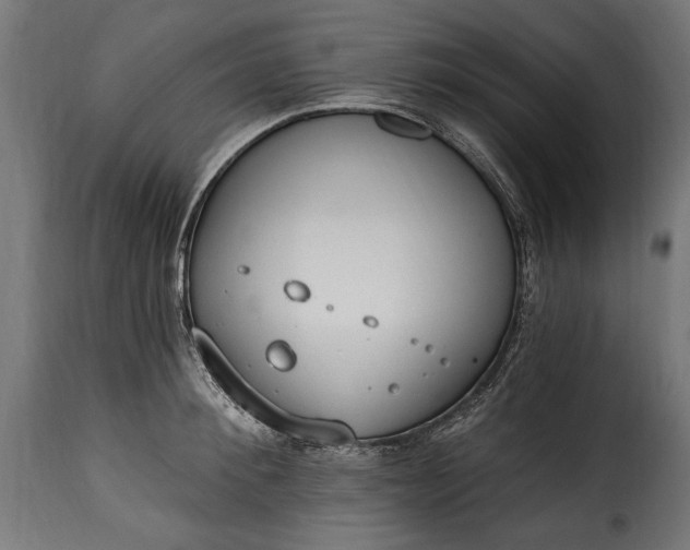 X0000115630900200911241644