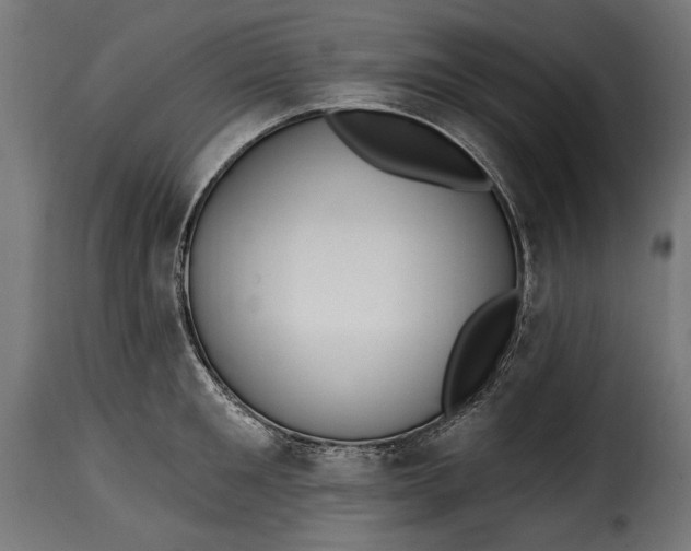 X0000115630901200911241644