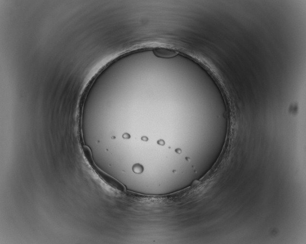 X0000115630902200911241644