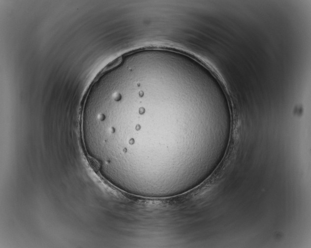 X0000115630903200911241644