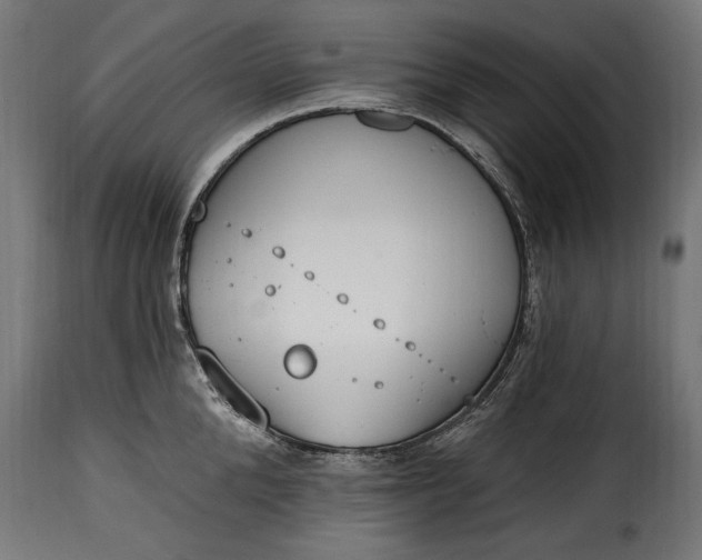 X0000115630904200911241644