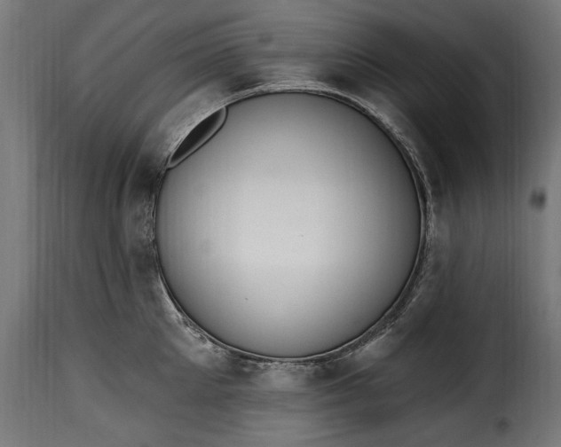 X0000115630905200911241644