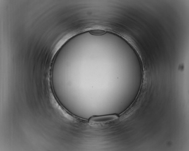 X0000115630906200911241644