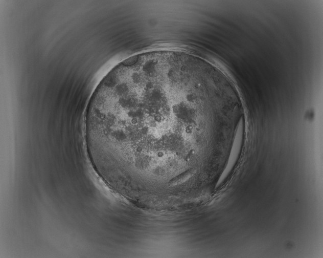 X0000115630907200911241644