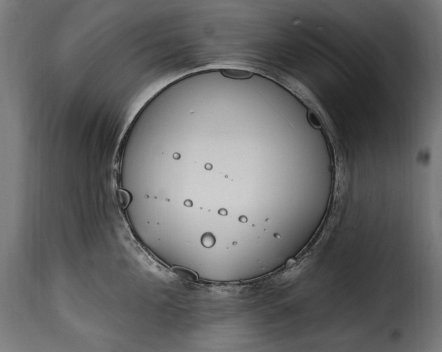 X0000115630908200911241644