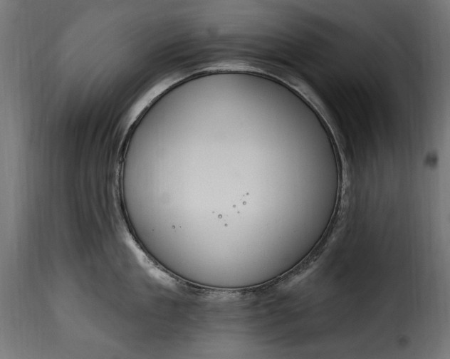 X0000115630909200911241644