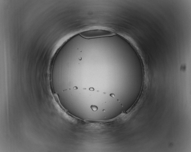 X0000115630910200911241644