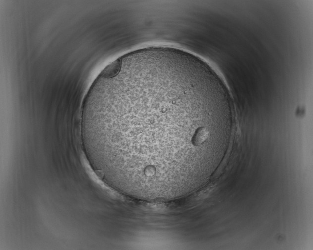 X0000115630911200911241644