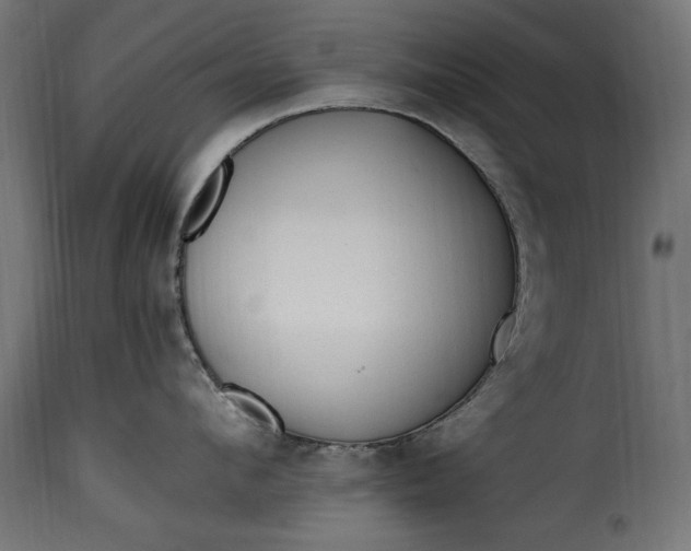 X0000115630912200911241644