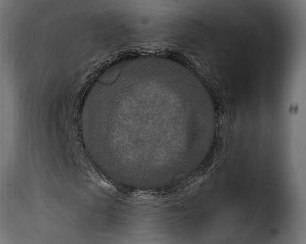 X0000115630913200911241643