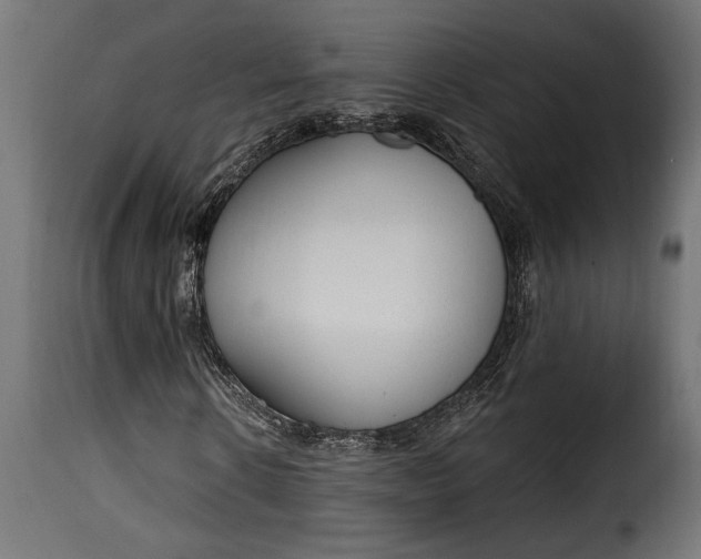 X0000115630914200911241643