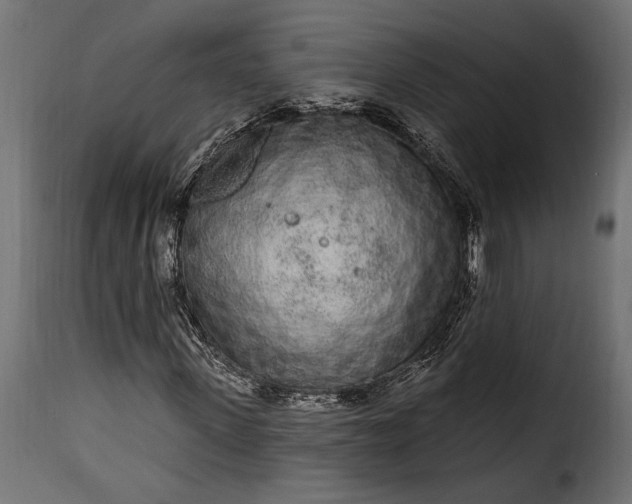 X0000115630915200911241643