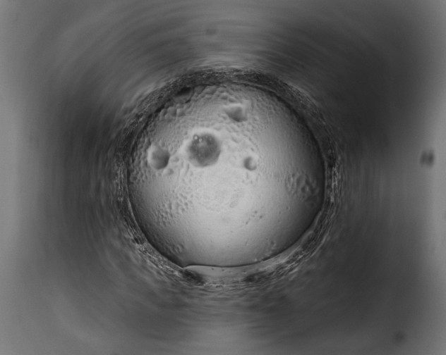 X0000115630917200911241643