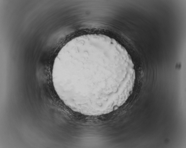 X0000115630918200911241643