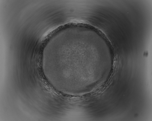 X0000115630919200911241643