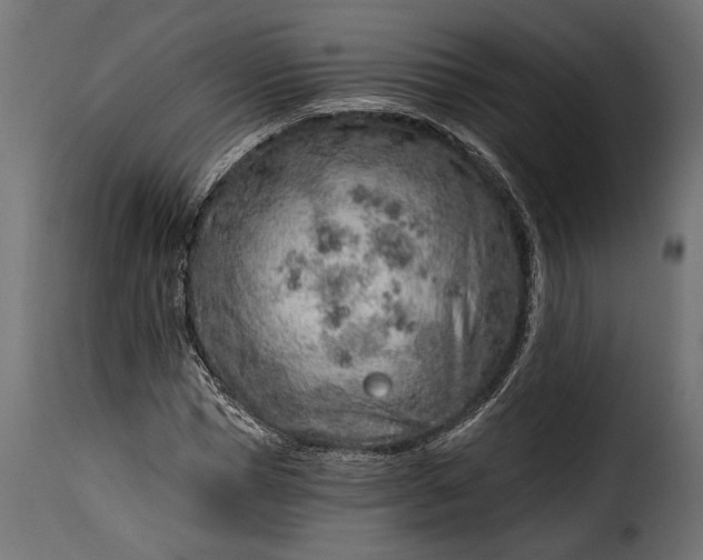 X0000115630921200911241643