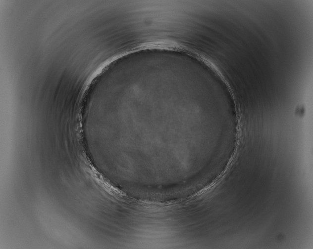 X0000115630923200911241643