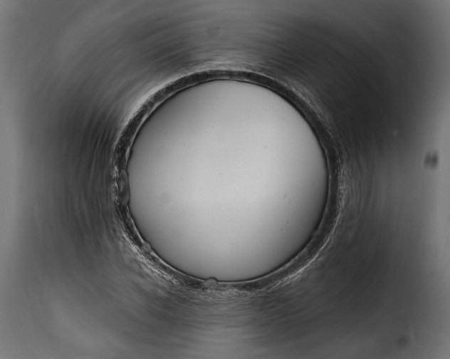 X0000115630926200911241643