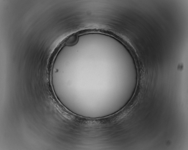 X0000115630927200911241643