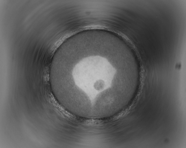 X0000115630929200911241643