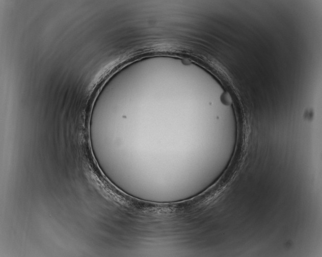 X0000115630930200911241643