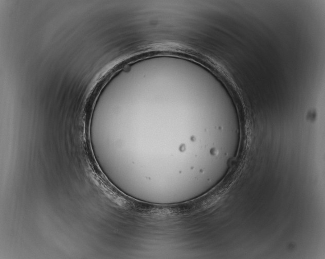 X0000115630931200911241643