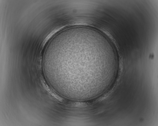 X0000115630933200911241644