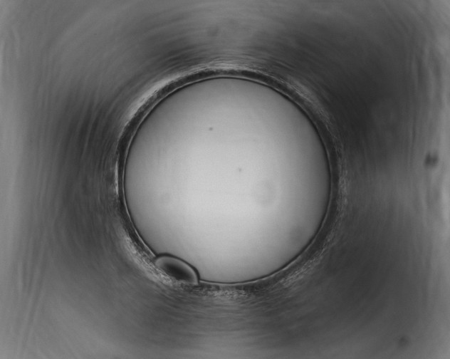 X0000115630934200911241644