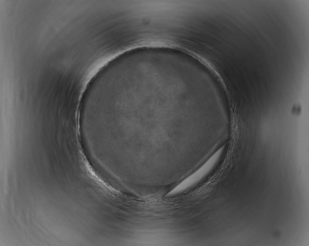 X0000115630935200911241644