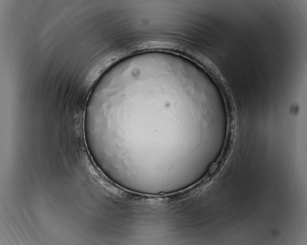 X0000115630937200911241644